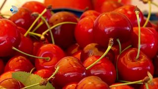 VIDEO &bdquo;Nu ne permitem&rdquo;. Fructele, mai scumpe dec&acirc;t carnea