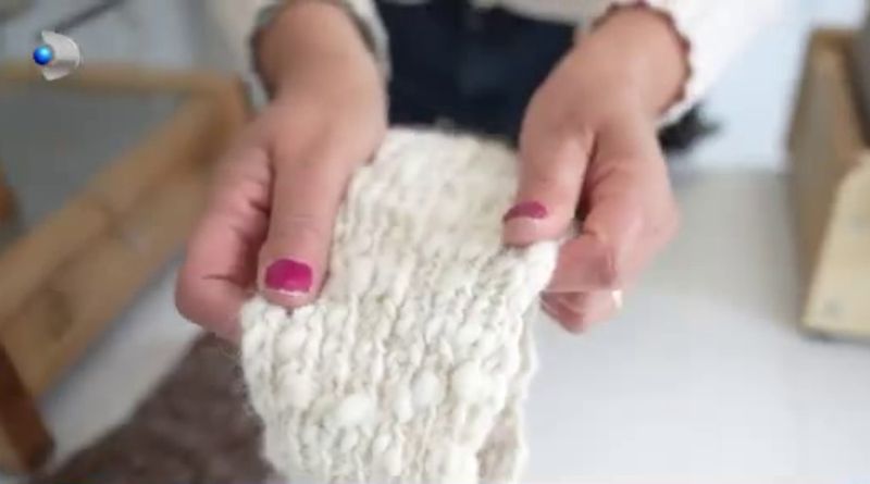 Afacere cu fermă de alpaca