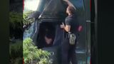 VIDEO Intervenția Poliției &icirc;n cazul camionului scăpat de sub control ridică semne de &icirc;ntrebare. Șoferul ajuns la spital și amendat vrea să deschidă un proces 