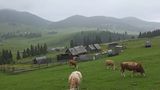 VIDEO Raiul Moților - aici lumea stă pe loc