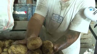 VIDEO Fără depozite, fermierii din Dolj riscă să piardă recoltele