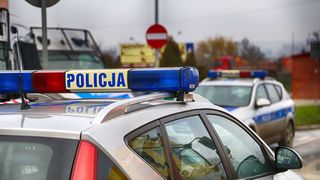 Descoperire cutremurătoare &icirc;n Polonia. 34 de fetuși umani, &icirc;ngropați &icirc;n curtea unei doctorițe