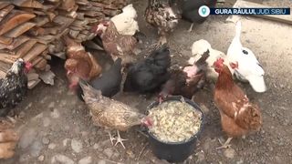 VIDEO Viața la țară &icirc;n Rom&acirc;nia. Costurile reduse au rămas doar un mit
