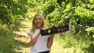 VIDEO Clujenii pot culege singuri cireșe din livada stațiunii de cercetare horticolă, la un preț de trei ori mai mic dec&acirc;t &icirc;n piață