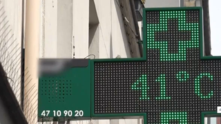 VIDEO Europa de Vest, sub cupola focului. Valul de căldură extremă devastează continentul