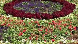 VIDEO Simetrie din peste 60.000 de plante. Mandalele asiatice cuceresc centrul Timișoarei