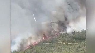 VIDEO Incendiu devastator &icirc;n sudul Franței. Evacuări masive, după ce au ars 900 de hectare de vegetație 