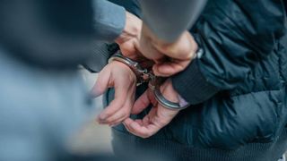 Pensionar din Bihor, reținut după ce a omor&acirc;t c&acirc;inele vecinei