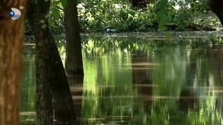 VIDEO &bdquo;Canalizarea nu a fost extinsă&rdquo;. Bucureștiul, ca o deltă după at&acirc;ta ploaie