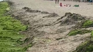 VIDEO Căldura și ploile perturbă vacanțele de pe litoral. Dezastru ecologic la malul mării
