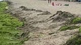 VIDEO Căldura și ploile perturbă vacanțele de pe litoral. Dezastru ecologic la malul mării