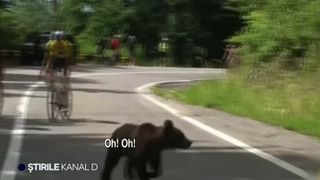 VIDEO Moment surprins &icirc;n direct pe Transfăgărășan: un urs a &icirc;ntrerupt etapa regină a Turului Ciclist al Sibiului