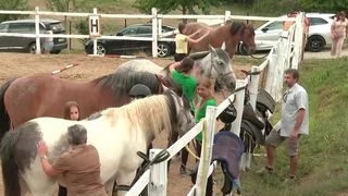 VIDEO Spectacol ecvestru la Beftia, l&acirc;ngă Oradea