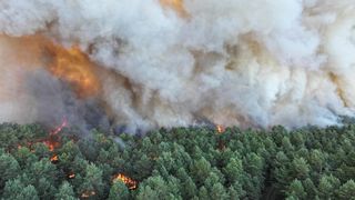 VIDEO Situație critică &icirc;n Franța. Evacuări masive din cauza incendiilor