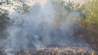Moarte &icirc;ngrozitoare la Baia de Aramă. O femeie s-a stins &icirc;ntr-un incendiu de vegetație