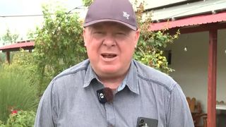 VIDEO Lege nouă pentru casele lui Viorel Pașca