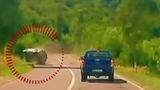 VIDEO Un șofer din Bacău, cascador de moment după ce mașina s-a răsturnat la plecarea de pe marginea drumului
