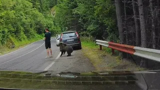 VIDEO T&acirc;năr &rdquo;scanat&rdquo; clipe bune de un urs, pe Transfăgărășan. Imagini de groază, filmate de un șofer