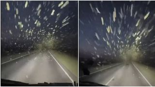 VIDEO Roi uriaș de lăcuste &icirc;n Dagestan. Insectele paralizează traficul și sunt un pericol pentru agricultură