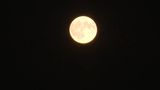 VIDEO &bdquo;Luna Cerbului&rdquo; a răsărit pe cerul Rom&acirc;niei