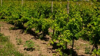 S&acirc;mbătă, de la 14:45, la &rdquo;ROventura&rdquo;, O nouă incursiune de poveste &icirc;n  