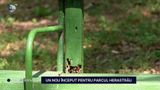 VIDEO Parcul Herăstrău, &icirc;n pragul reabilitării după ani de degradare și neglijență. Lucrările vor dura cinci ani 