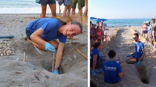Semnele ciudate de pe unele plaje din Grecia! Ce trebuie să faci c&acirc;nd le vezi