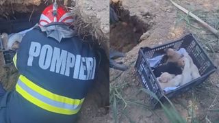 VIDEO Misiune contra cronometru la Constanța! Opt suflete, salvate &icirc;n ultima clipă de pompieri