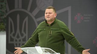 Valeri Zalujn&icirc;i, ambasadorul Ucrainei &icirc;n Marea Britanie