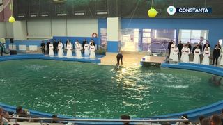 VIDEO Corul Madrigal, concert la Delfinariul din Constanța