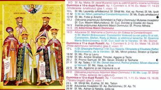 Sfinții Martiri Br&acirc;ncoveni
