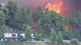 Incendiu violent &icirc;n Halkidiki! Rom&acirc;ni prinși &icirc;n iadul de foc
