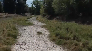 VIDEO Secetă devastatoare &icirc;n vestul țării. R&acirc;uri secate, viețuitoare moarte și lipsa apei potabile