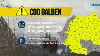 VIDEO Cod galben de v&acirc;nt și vijelii &icirc;n aproape toată Rom&acirc;nia