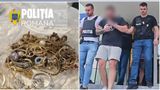 VIDEO Polițistul din Timișoara, acuzat că a furnizat informații unor hoți, a fost arestat preventiv pentru 30 de zile