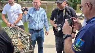 VIDEO Descoperire șocantă &icirc;n D&acirc;mbovița. Lei și urși găsiți &icirc;n condiții inumane