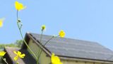 VIDEO Rom&acirc;nia investește &icirc;n baterii pentru panouri fotovoltaice