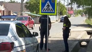 VIDEO Un pui de șarpe găsit &icirc;n bucătărie i-a adus dosar penal unui bărbat