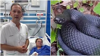 VIDEO O femeie a ajuns la spital după ce a fost mușcată de un șarpe. &Icirc;n ce stare se află