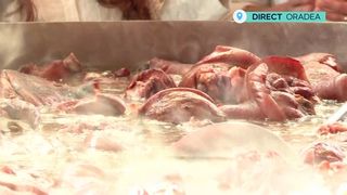 VIDEO Bucătarii unui restaurant din Oradea pregătesc zilnic sute de kilograme de ciolan de porc cu iahnie de fasole