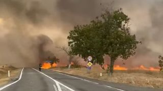 VIDEO Incendiu puternic &icirc;n Gorj. Traficul a fost &icirc;nchis pe DN67
