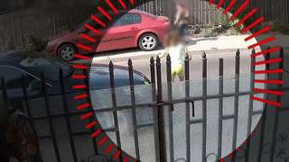 VIDEO Vina se &icirc;mparte &icirc;n cazul copilei spulberate de o mașină &icirc;n Alexandria. Șoferul e liber, asistenta maternală e anchetată