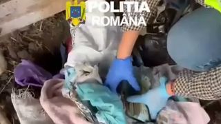 VIDEO Doi bărbați acuzați de camătă au &icirc;ngropat aproape 200.000 de lei &icirc;n curtea casei pentru a ascunde banii. Cum i-au obținut 