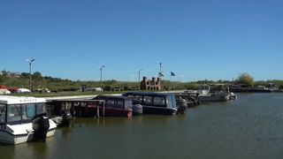VIDEO Festivalul fantomă din Delta Dunării. Cum inteligența artificială a adus sute de turiști la un eveniment anulat