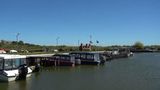 VIDEO Festivalul fantomă din Delta Dunării. Cum inteligența artificială a adus sute de turiști la un eveniment anulat