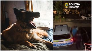 VIDEO Femeie mușcată de c&acirc;ine &icirc;ntr-un bloc din Deva. Proprietarul animalului a fost reținut