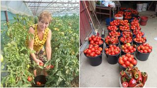 VIDEO Rețeta de zacuscă a Marianei Birică. Artista face pregătiri de toamnă