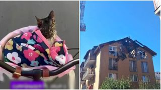  Motan prins &icirc;n flăcări, salvat de pompierii din Cluj