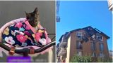VIDEO Motan prins &icirc;n flăcări, salvat de pompierii din Cluj