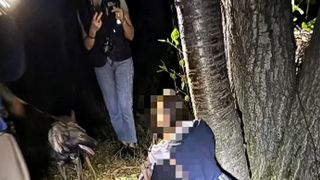 Doi copii dispăruți au fost găsiți  de Luna, c&acirc;inele de urmă al Serviciului Criminalistic. Micuții se ascundeau &icirc;ntr-o zonă cu vegetație deasă